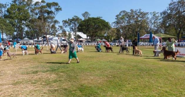 Crufts Lawn