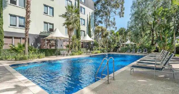Poolside Garden