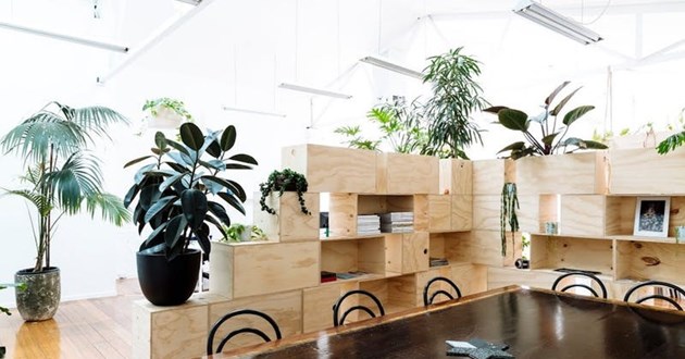 Natural Light-filled Creative Meeting/Workspace for 12