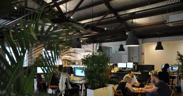 6 Person Desk in Chippendale