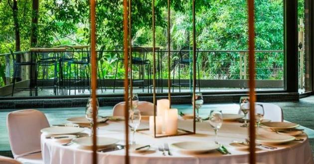 Rainforest Room