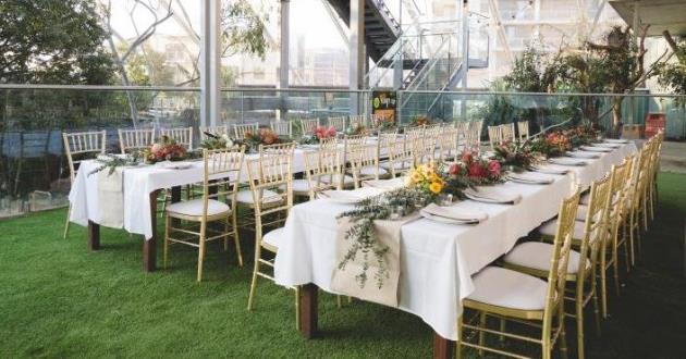 Australian Koala Rooftop Event Space 